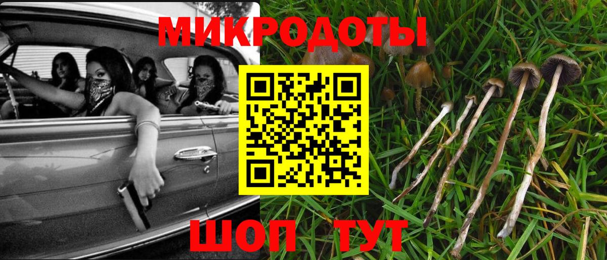 Галлюциногенные грибы мицелий  Вход с VPN  Карпинск 
