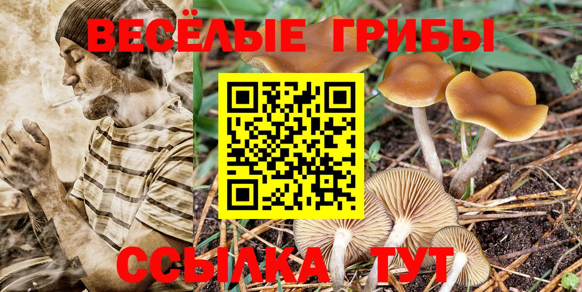 Галлюциногенные грибы GOLDEN TEACHER Карпинск